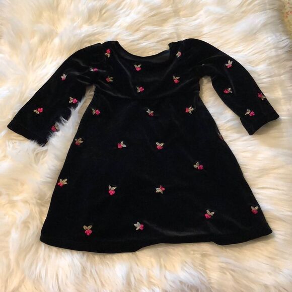 Circo Black Velvet Dress Embroidered Roses 12M - Picture 7 of 16